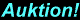 auktion.gif (1289 bytes)